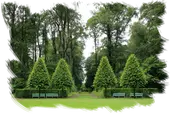 Podas de altura